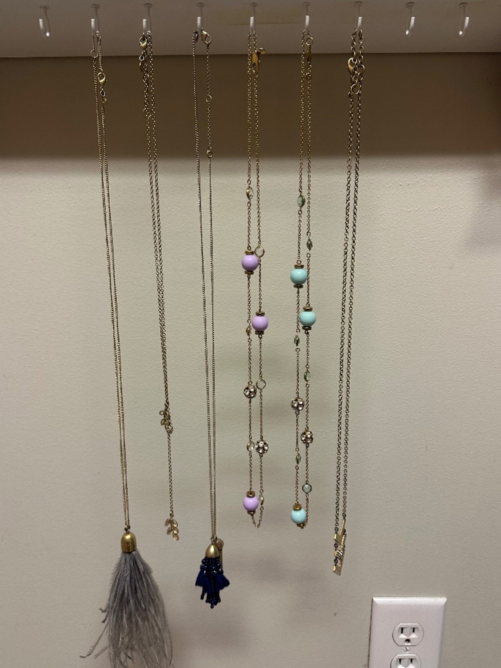 J Crew Long Necklace Bundle (6)